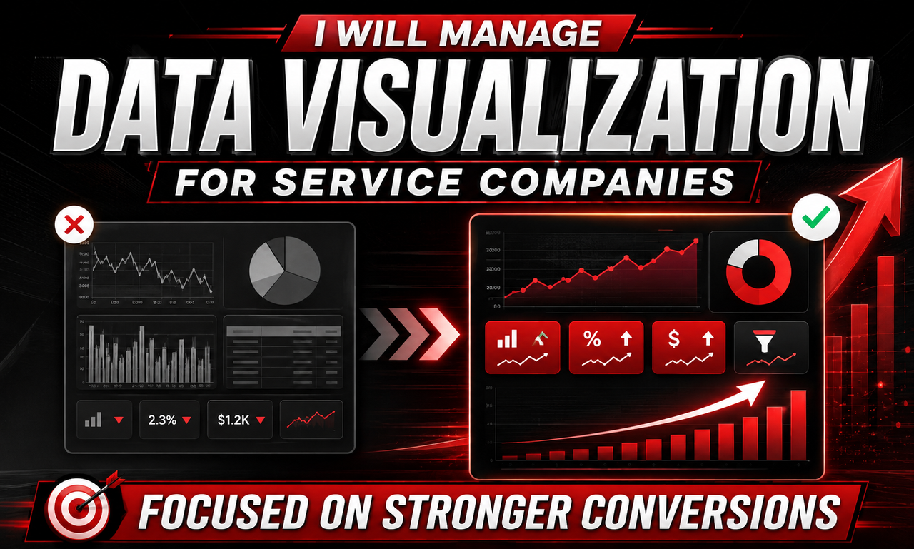 I will manage data visualization for service companies focused on stronger conversions